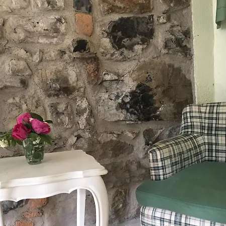 Castagna Nesso